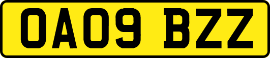 OA09BZZ