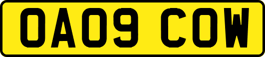 OA09COW
