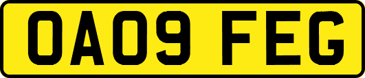 OA09FEG