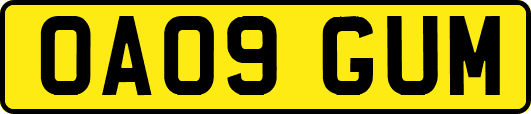 OA09GUM