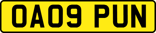 OA09PUN