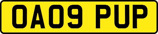OA09PUP
