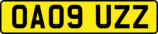 OA09UZZ