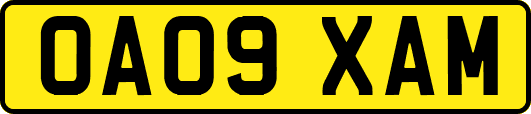 OA09XAM