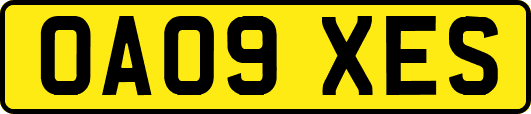 OA09XES