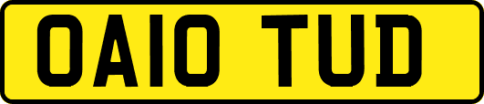 OA10TUD