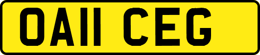 OA11CEG