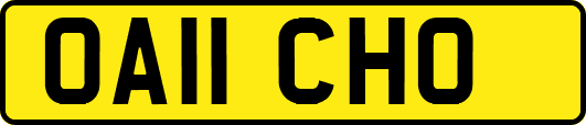 OA11CHO