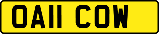 OA11COW
