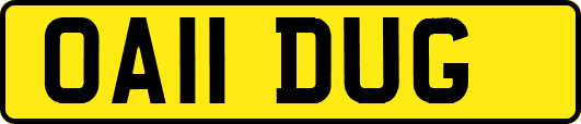 OA11DUG