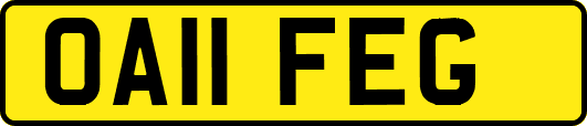 OA11FEG