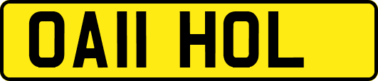 OA11HOL