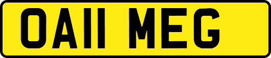 OA11MEG