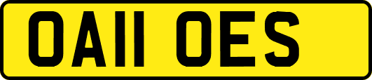 OA11OES
