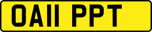 OA11PPT