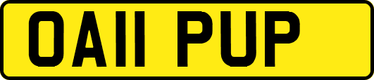 OA11PUP