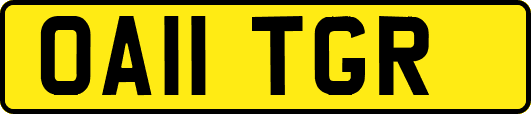 OA11TGR