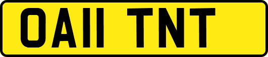 OA11TNT