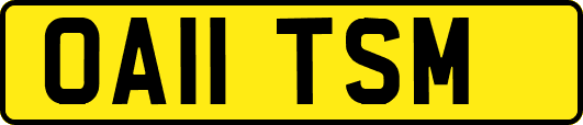 OA11TSM