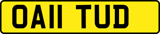 OA11TUD