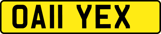 OA11YEX