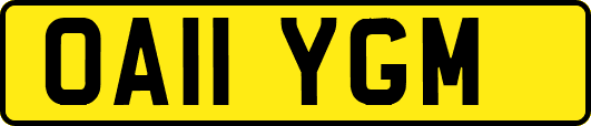 OA11YGM