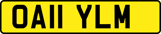 OA11YLM