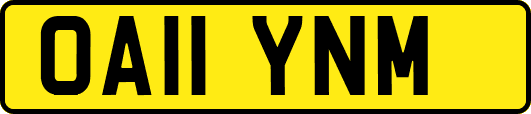 OA11YNM