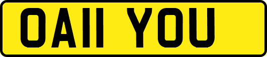 OA11YOU