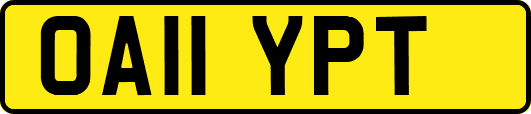 OA11YPT