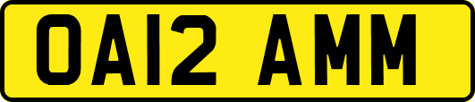 OA12AMM