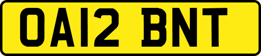 OA12BNT