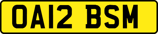 OA12BSM