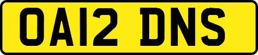 OA12DNS