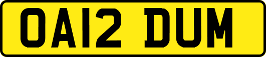 OA12DUM