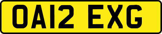 OA12EXG