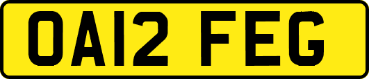 OA12FEG