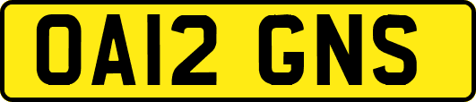 OA12GNS