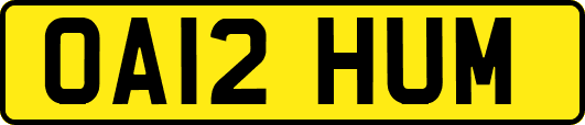 OA12HUM