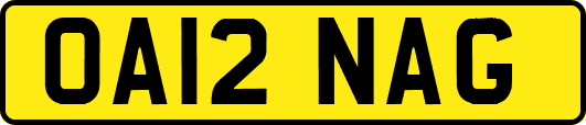 OA12NAG