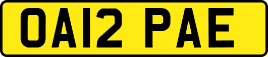 OA12PAE