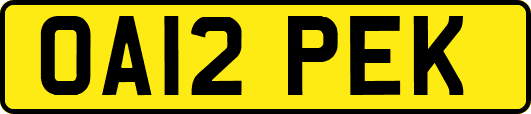 OA12PEK