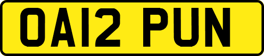 OA12PUN