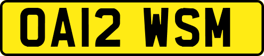 OA12WSM