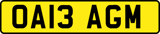 OA13AGM