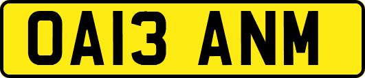 OA13ANM