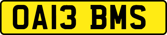 OA13BMS