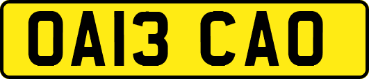 OA13CAO