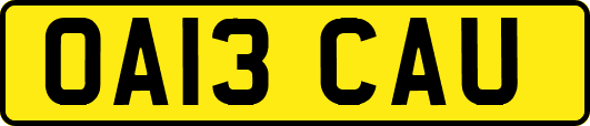 OA13CAU