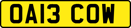 OA13COW